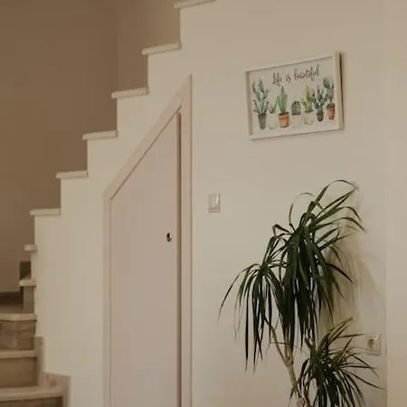 βιλα Fiore Avliótes